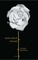 Marjorie Prime