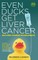 Even Ducks Get Liver Cancer and other medical misadventures