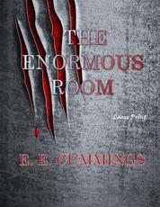The Enormous Room