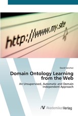 Domain Ontology Learning from the Web