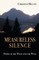 Measureless Silence