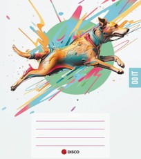 Sąsiuvinis DISCO DoIT