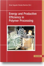 Energy and Productive Efficiency in Polymer Processing