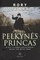 Pelkynės princas