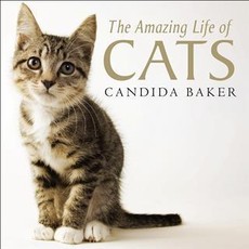Amazing Life of Cats