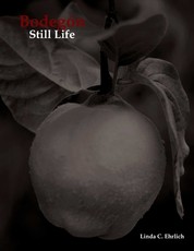 BodegÃ³n / Still Life