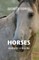 Horses, Heartache & Healing