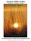 Azameir BiSh'vochin - Rebbe Nachman's Songs