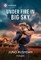 Under Fire in Big Sky