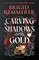 Kemmerer, B: Carving Shadows into Gold