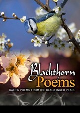 Blackthorn poems