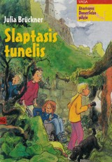 Slaptasis tunelis