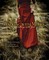 Walking With Moses - Talking With God
