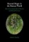 Beyond Magic in the Roman World