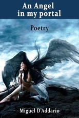An Angel in my portal