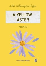 A Yellow Aster Volume 3