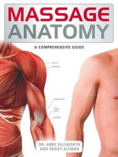 Massage Anatomy
