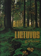 Lietuvos giriose