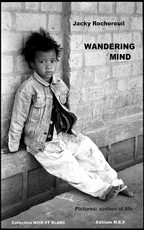 Wandering Mind
