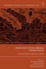 Dissensus over Liberal Democracy