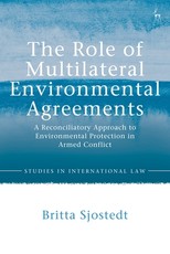 The Role of Multilateral Environmental Agreements