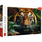 TREFL Dėlionė „Tigras“, 1000 det.