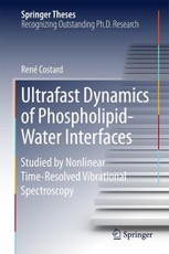 Ultrafast Dynamics of Phospholipid-Water Interfaces