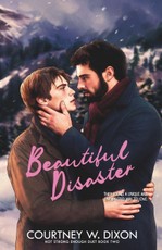 Beautiful Disaster Special Edition