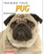 Training Your Pug