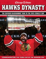 Hawks Dynasty