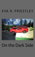 On the Dark Side