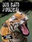 Big Cats Pounce!