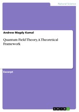Quantum Field Theory, A Theoretical Framework