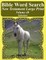 Bible Word Search New Testament Large Print Volume 40
