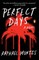 Perfect Days