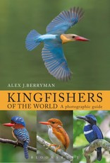 Kingfishers of the World