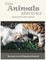 Cute Animals Grayscale Coloring Book for Adults Relaxation
