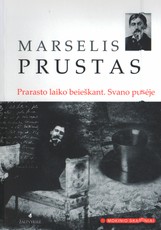 Prarasto laiko beieškant. Svano pusėje