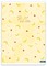 Sąsiuvinis A4 52lap. 80g PASTEL FRUITS lang.