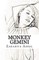 Monkey Gemini