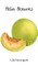 Melon Memories