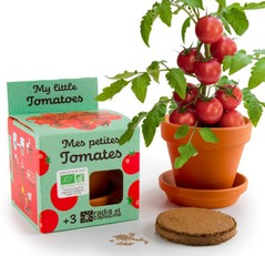 Auginimo rinkinys vaikams RADIS et CAPUCINE „Ekologiški vyšniniai pomidorai“