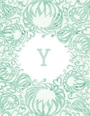 Y