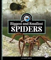 Biggest and Smallest Spiders