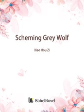 Scheming Grey Wolf