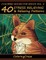 Coloring Books For Adults Volume 4