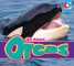 All About Orcas