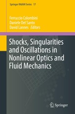 Shocks, Singularities and Oscillations in Nonlinear Optics and Fluid Mechanics