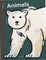 Spring Street Discover: Animals