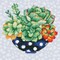 Deimantinė mozaika SUCCULENT BOWI 32x40